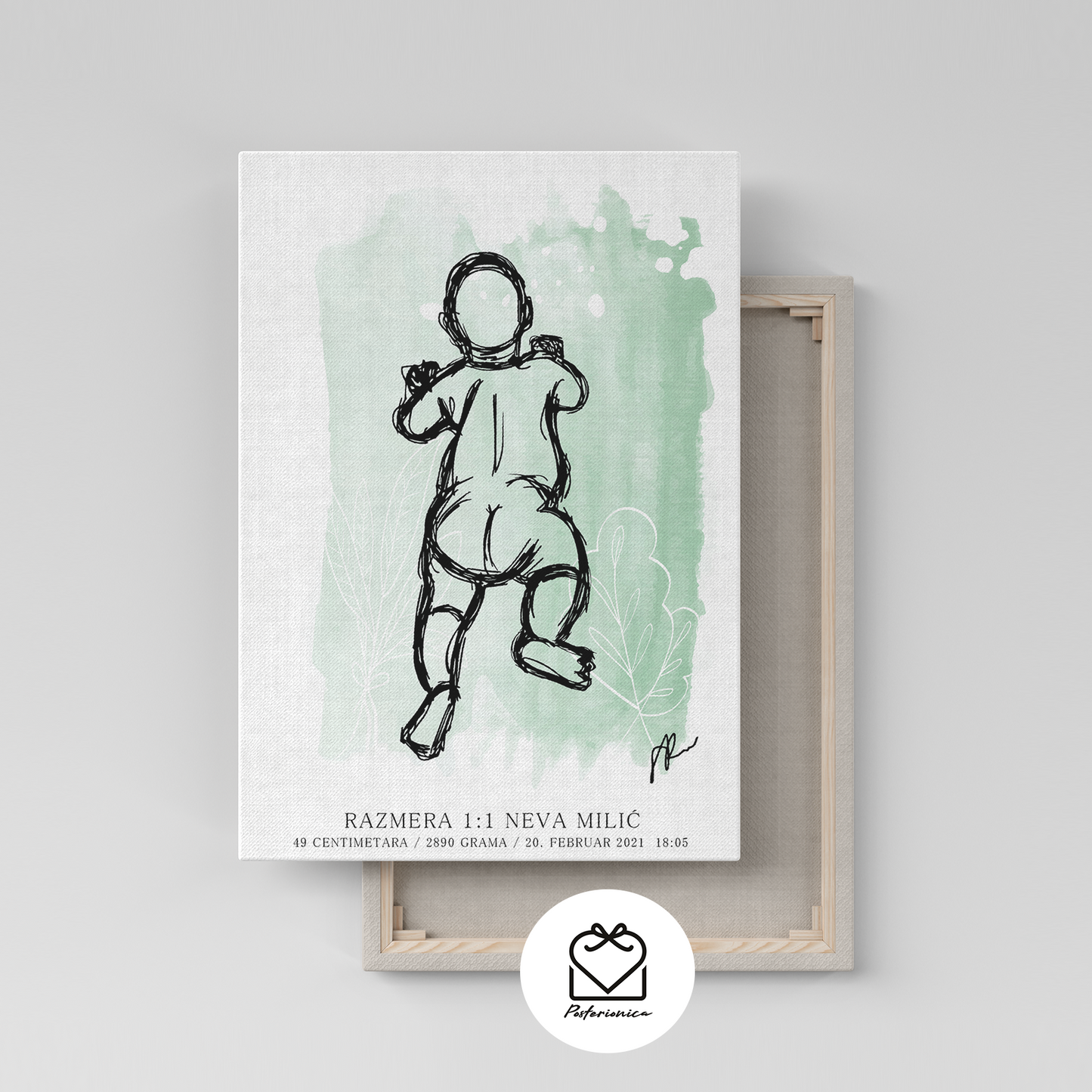 grafikon_rođenja - posterionica