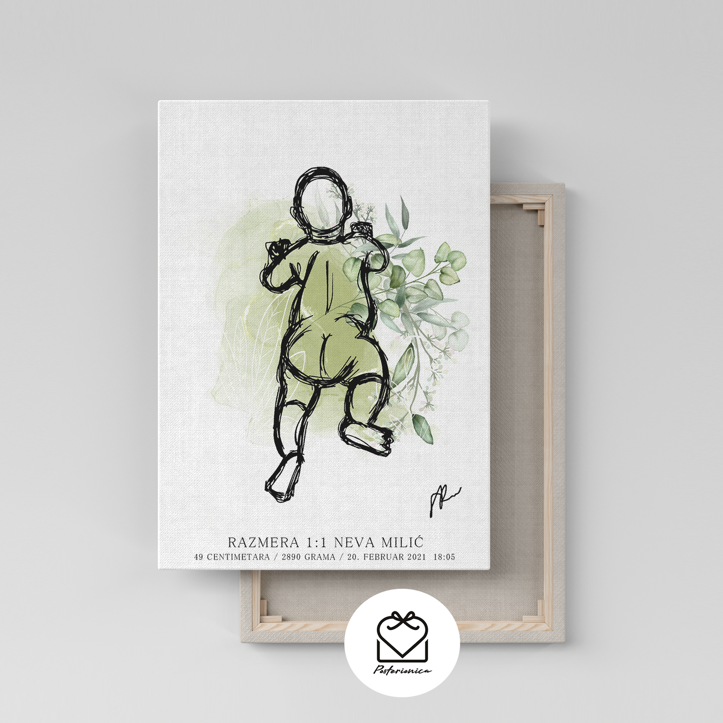 grafikon_rođenja - posterionica