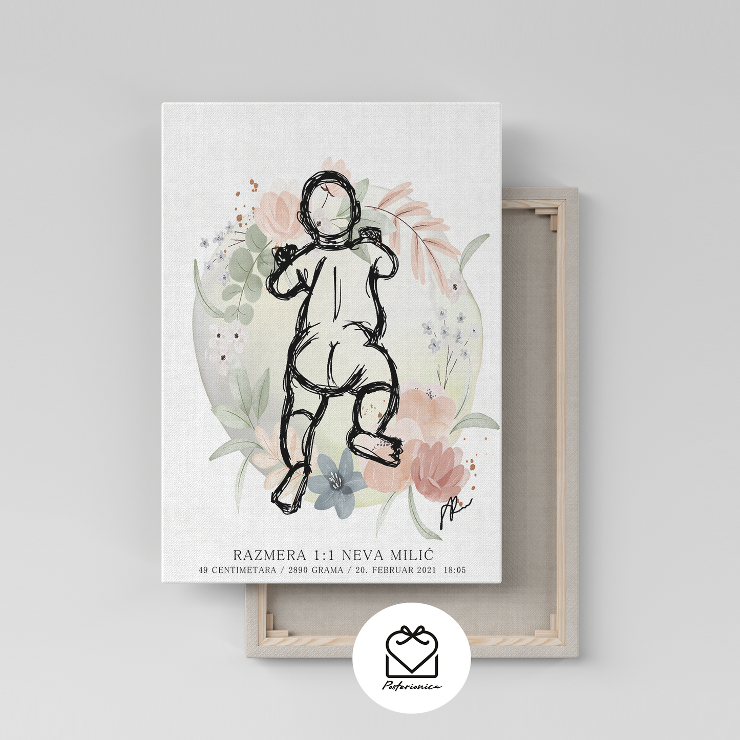 grafikon_rođenja - posterionica