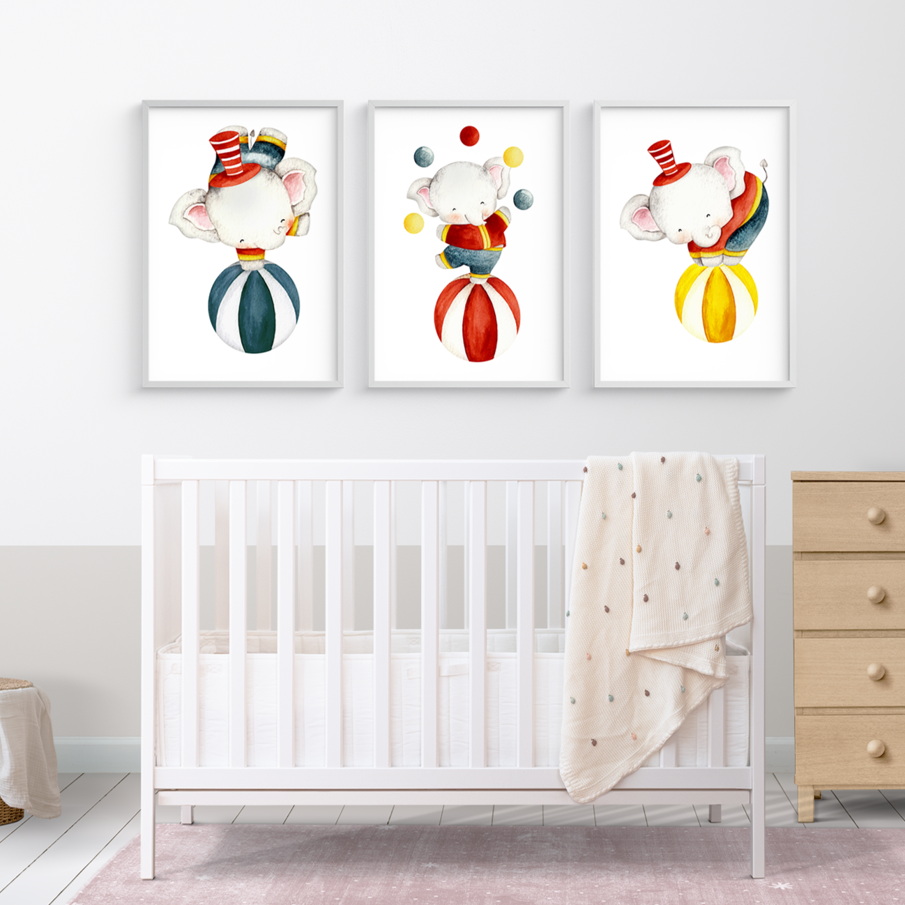 grafikon_rođenja - posterionica