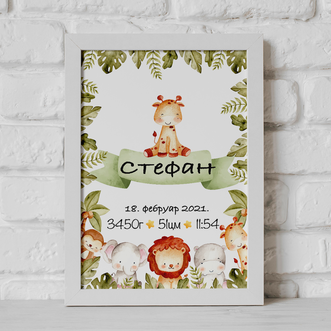 grafikon_rođenja - posterionica