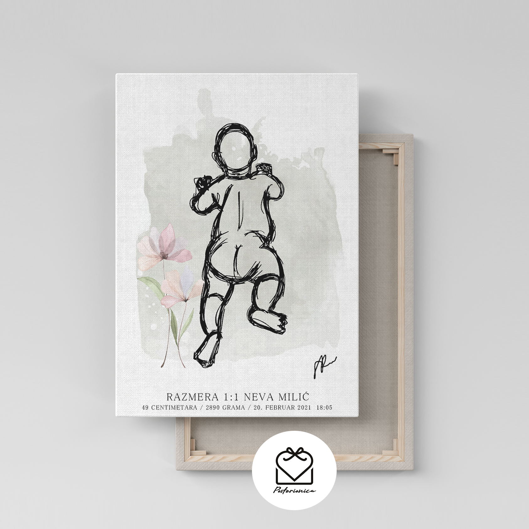 grafikon_rođenja - posterionica